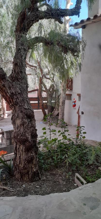 La Casa De Violeta Hotel Tilcara Eksteriør billede